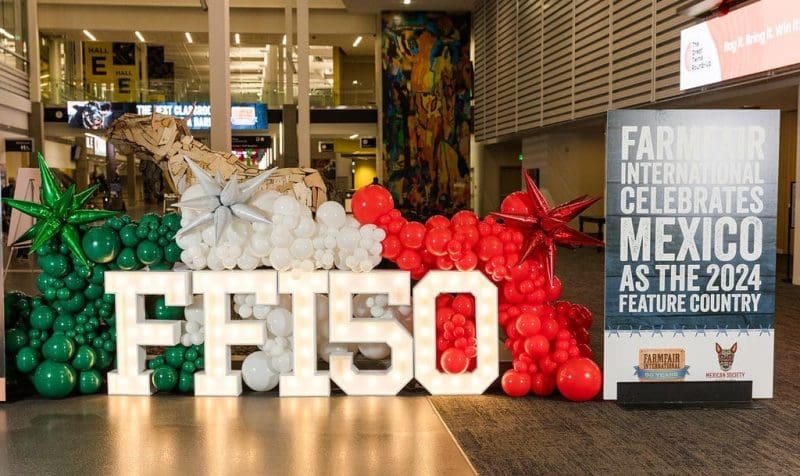 Marquee Numbers and Letters | RENTAL